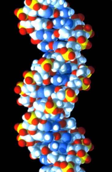 Biologie 1 und 2 - PHZH SEK 1 Modul BIO116